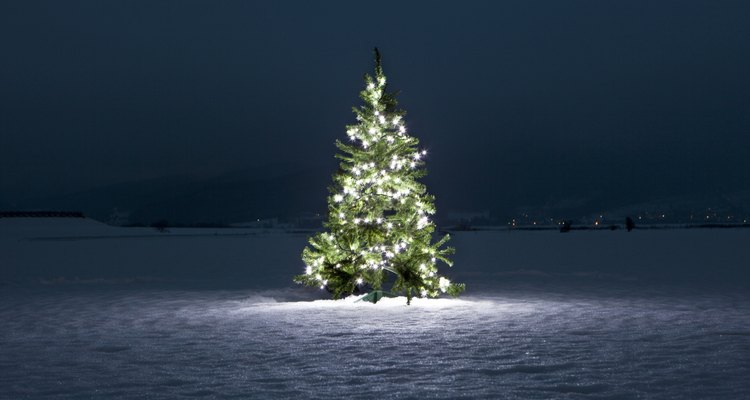 Un árbol de navidad es sólo un elemento básico para poner en una carroza.