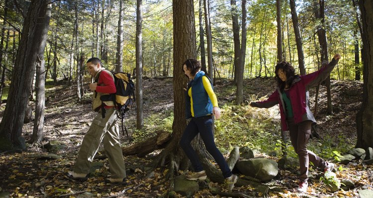 El Wilmington Trails Committee mantiene muchos senderos en esta área.
