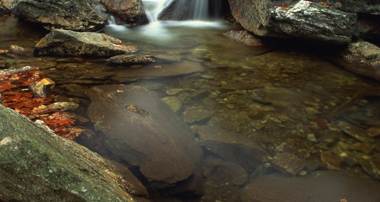 Al recorrer el sendero Glen Burney podrás admirar hermosas cascadas.