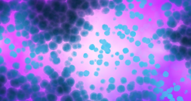 Only laboratory tests can confirm Pseudomonas colonisation.