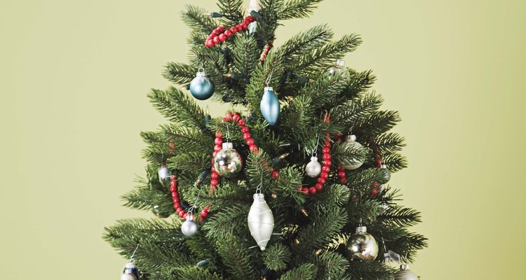 Quédate tu árbol de Navidad hasta que las agujas se vuelvan cafés y comiencen a caerse.
