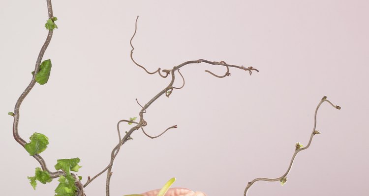 Menos es más en el ikebana.