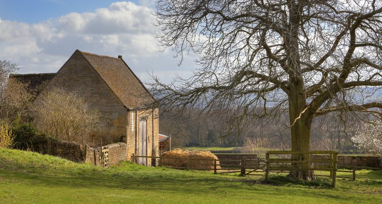 The gable end is the triangular wall at the side of the roof.