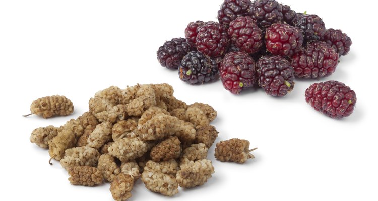 Dried and fresh mulberries