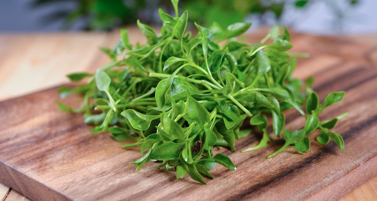 fresh watercress on wooden cutting board