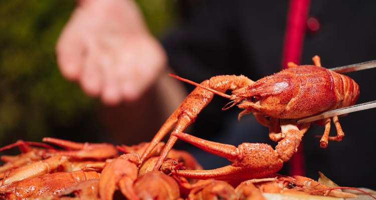 Close up of hands preparing crawdads