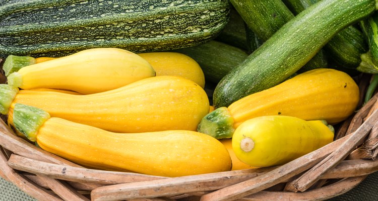 Yellow summer squash on display in baskets