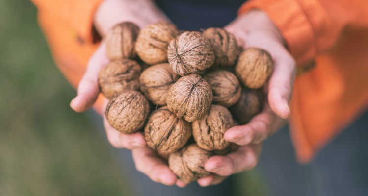 Active Senior woman with handful of walnuts