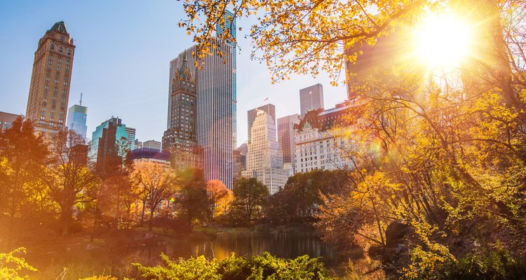 New York's Central Park in summer