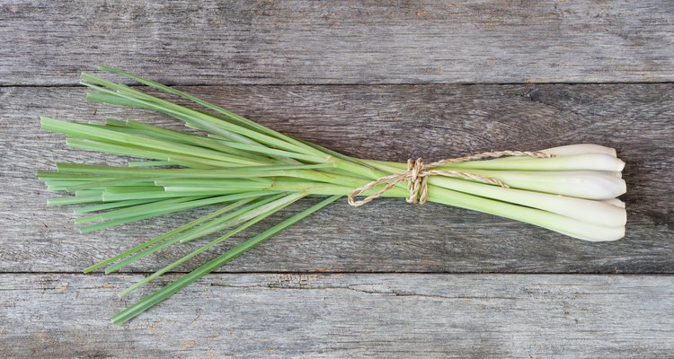 Fresh lemongrass (citronella) on wooden background.