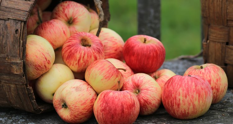 apples in a wicker basket old retro vintage rustic style