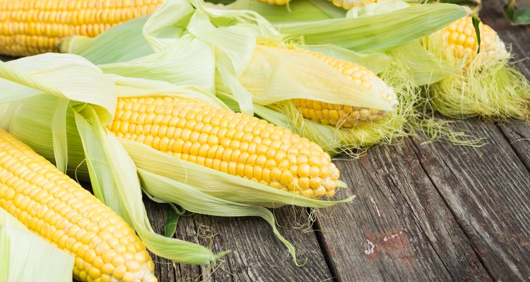 Maize. Fresh Corn on wooden table