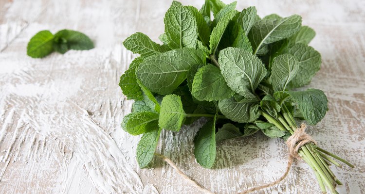 Mint. Bunch of Fresh green organic mint leaf on wooden table closeup. Selective focus.