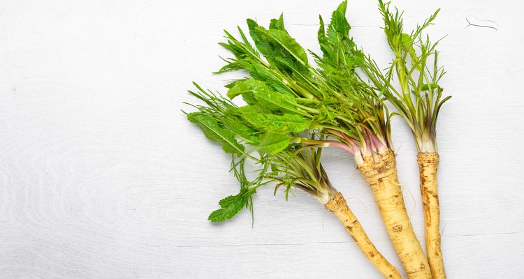 Fresh horseradish. The white Wooden desk. Top view.