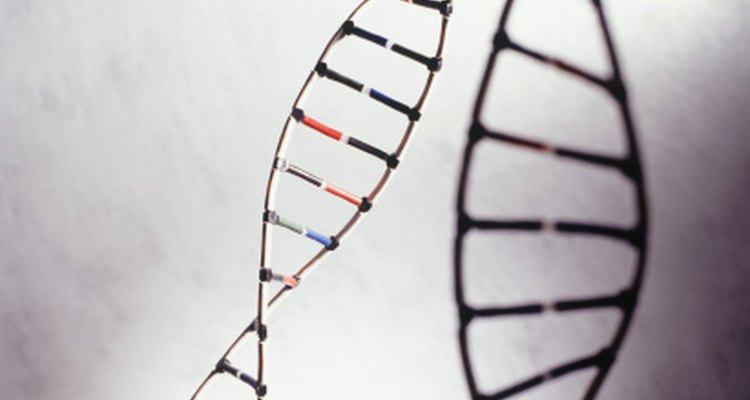 Use Popsicle sticks to represent a double-helix DNA model.