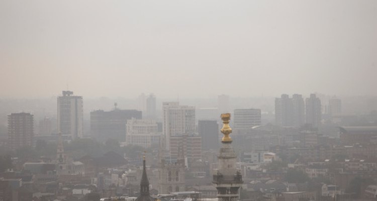 Has que los ninños exploren el impacto de las grandes ciudades en la salud y seguridad pública.