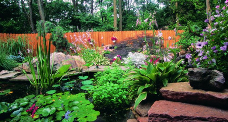 Build a two-level pond in your backyard.