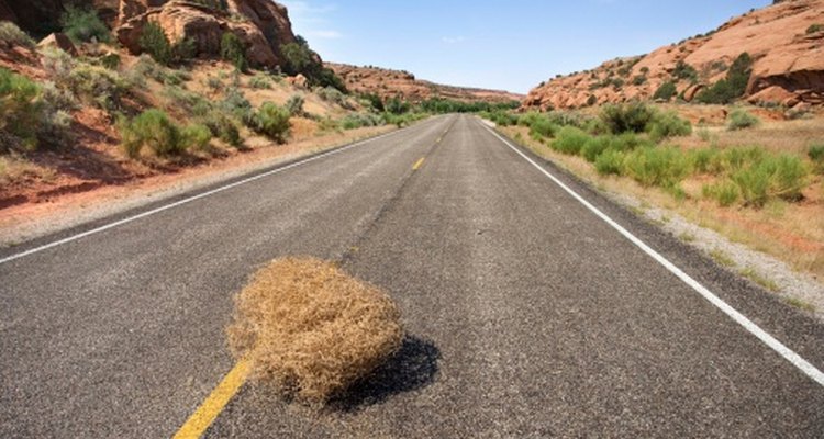 Make a tumbleweed prop from packaging string and glue.