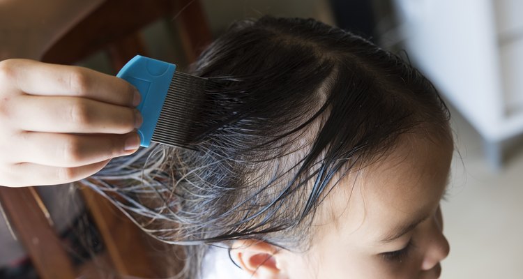 Head lice treatment