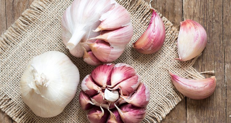 Fresh garlic on wooden background