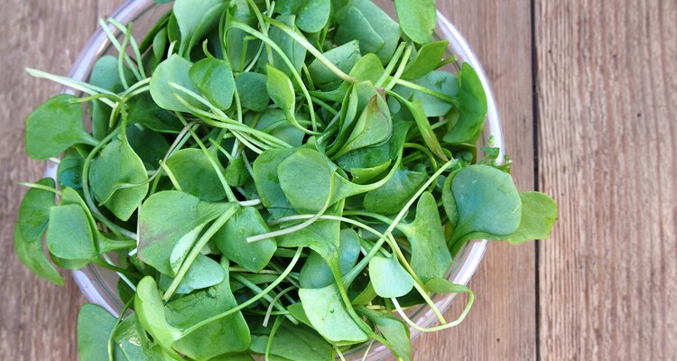 Watercress in bowl on wooden background