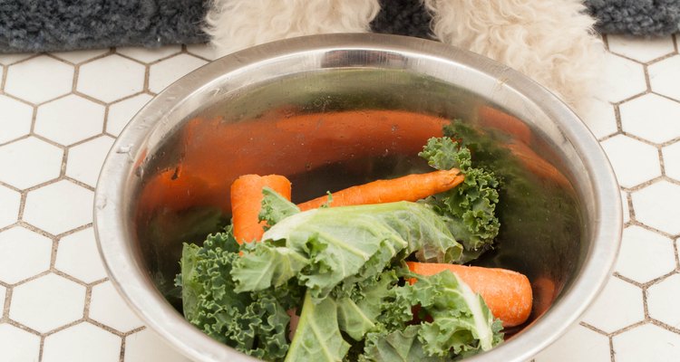 A adição de legumes, como cenoura, couve e brócolis à dieta do seu cão pode ajudar no tratamento