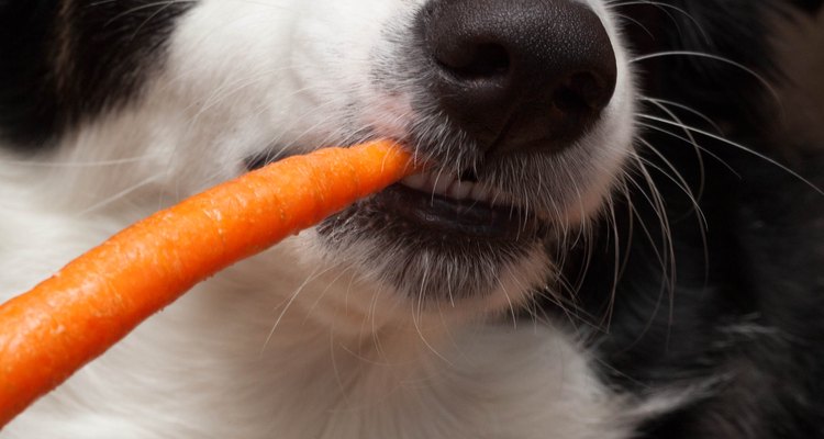 A cenoura contém beta-caroteno