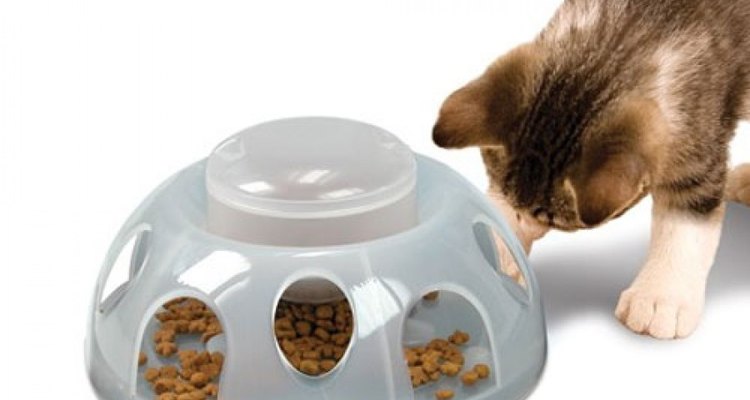Un comedero estimulará a tu gato a encontrar un equilibrio en su ración de comida.