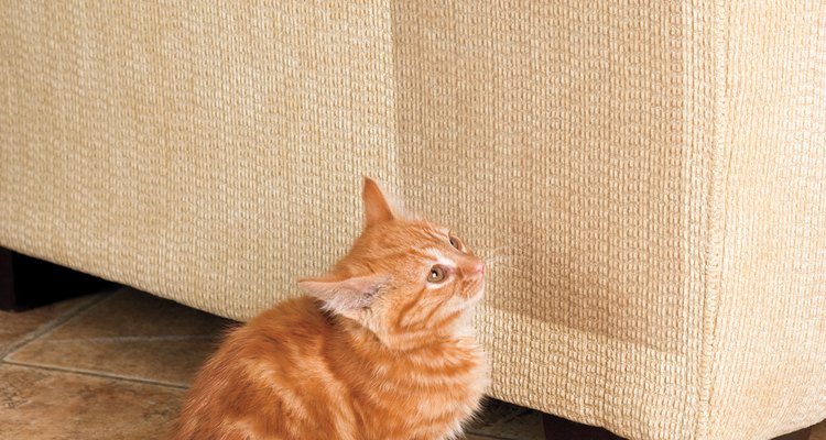 Las cintas anti-rasguños evitan que tu gato despedace tus muebles.