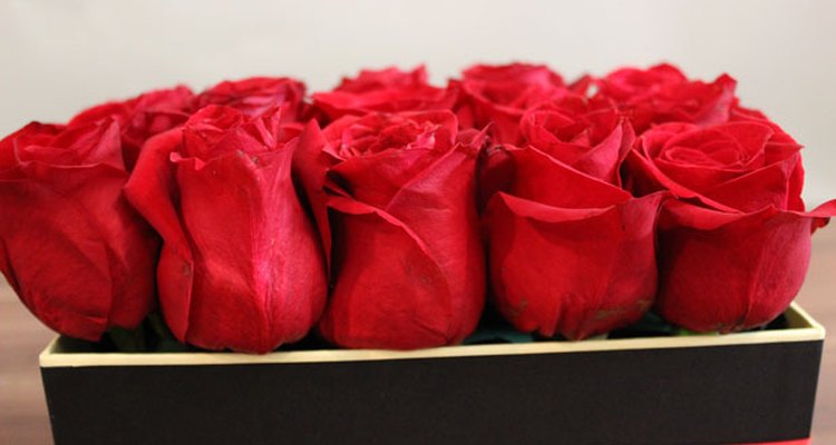Alínea las rosas en una caja.