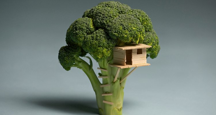 Cultiva brócoli en tu casa.