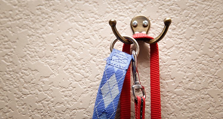 Cuelga las correas de tu cachorro junto a la puerta, para siempre estén a mano cuando deseas salir.