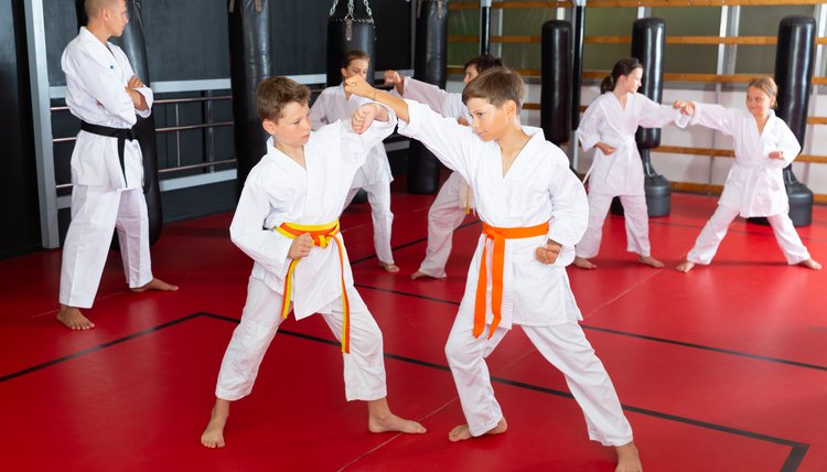 Boys training in pair to use taekwondo technique during class
