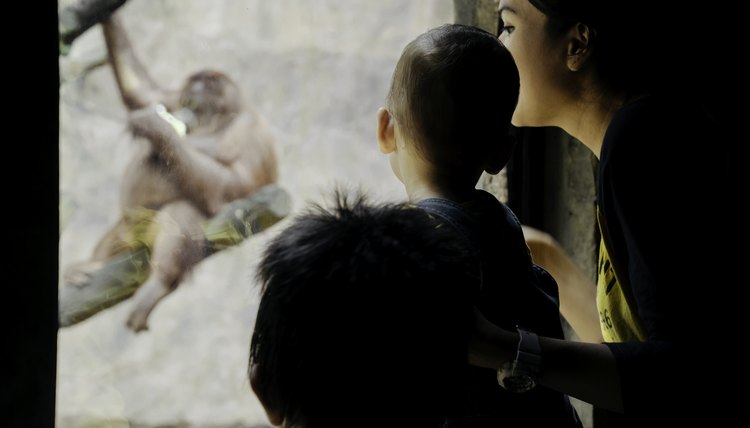 Madre e hijo de visita en el zoológico.