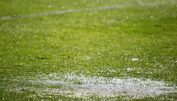 soccer field close up