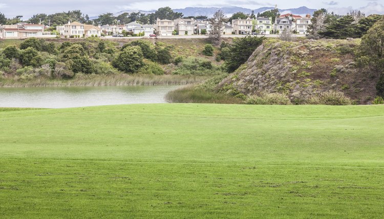 Harding Park Golf Course