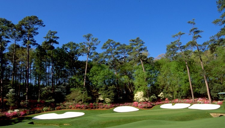 general view of the 13th green