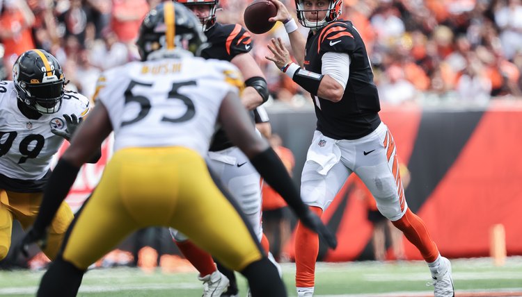 Pittsburgh Steelers v Cincinnati Bengals