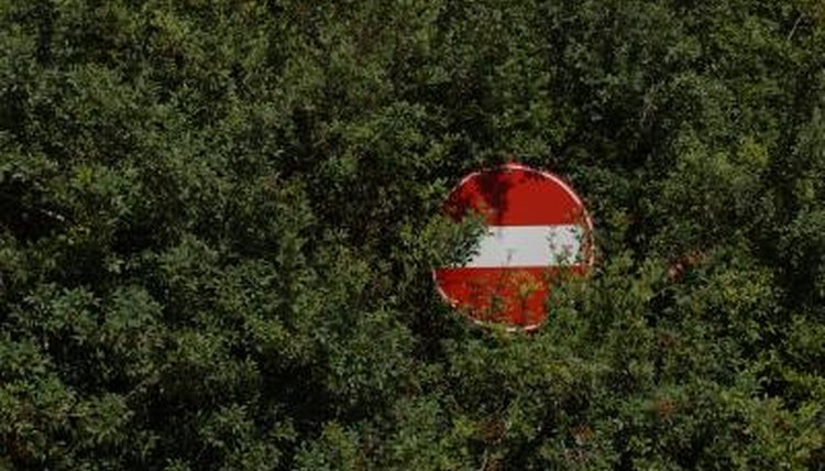 Was the sign obstructed when you received your ticket? Document it.