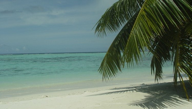 Exotic trips are often prizes in sweepstakes drawings.