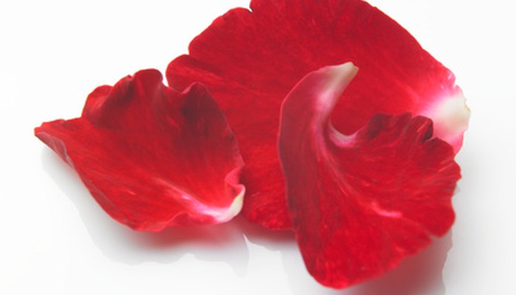 Rose petals can help you attract your true love.