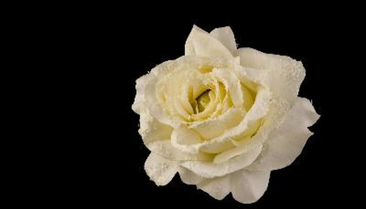 Flowers are welcomed gifts after a Seventh Day Adventist funeral.