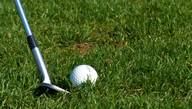 The shaft of the golf club can be described as the engine of the club and just as important as the heads