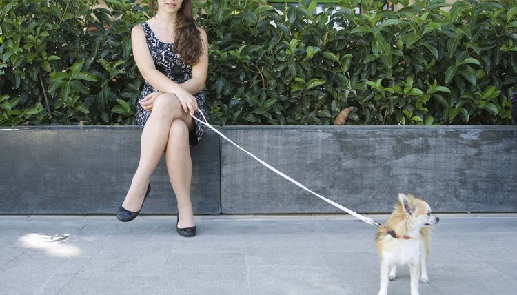 Woman with dog on leash outdoors
