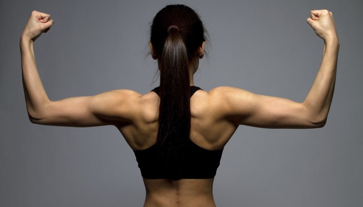 List of Muscle Groups in the Back