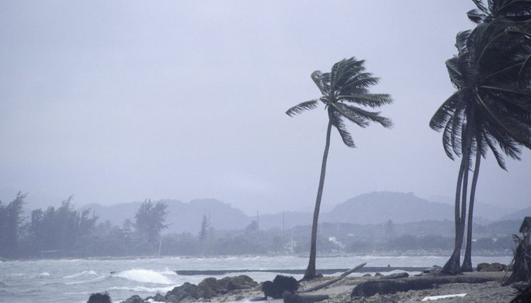Strong winds can cause mechanical weathering of rocks.