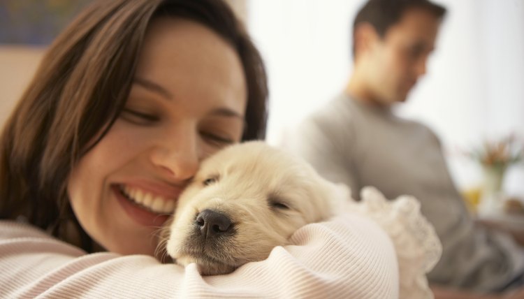 DailyPuppy article image