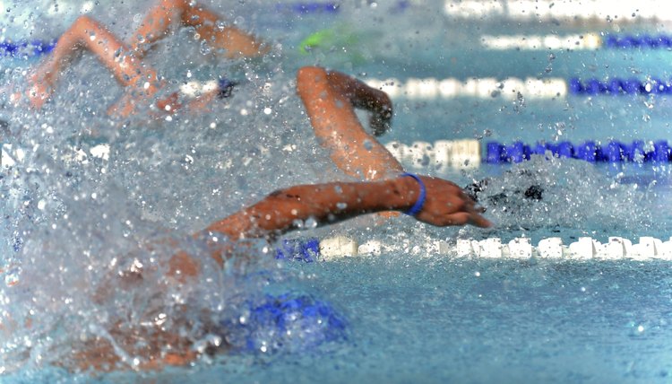 Freestyle swimmers in a close race