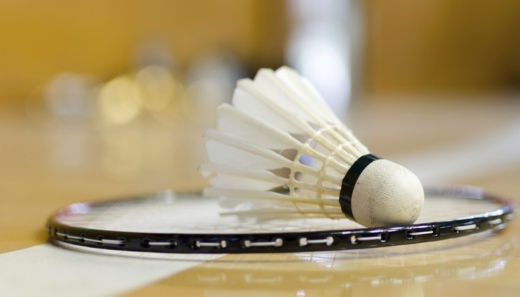 Shuttlecock on badminton racket