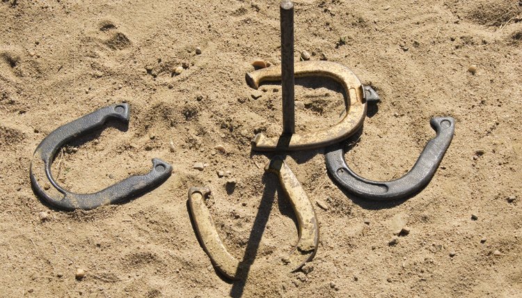 Horseshoes and stake